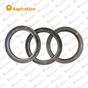 Sealing Ring  B230101000460