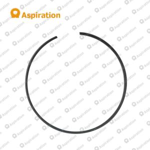 Sealing Ring 60014259