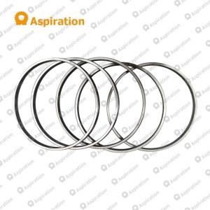 Sealing Ring SYG05913995